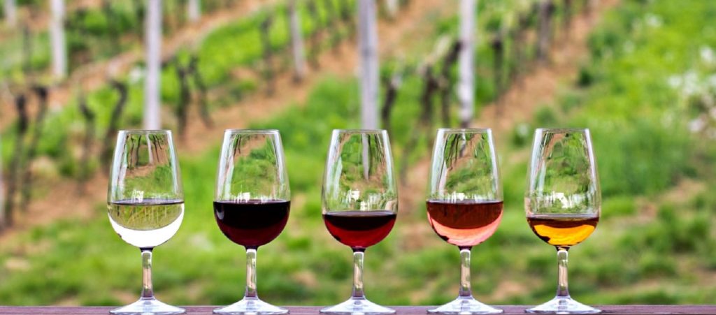 Glasses with wine. Red, pink, white wine in glasses. set of glasses with red, white and rose wine Tasting wine in the vineyard.