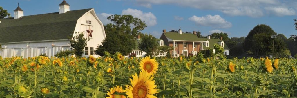 Discover One of the Best Places to Stay in Maryland for 2022 1 The beauty of our Eastern Shore Bed and Breakfast is one of the many reasons we consider it one of the best places to stay in Maryland