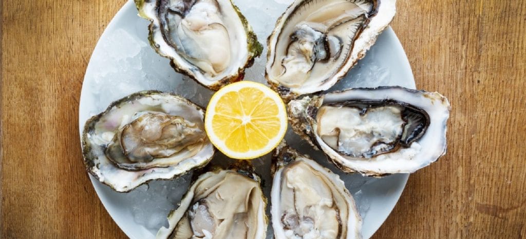 Fresh oysters in a white plate with ice and lemon on a wooden desk