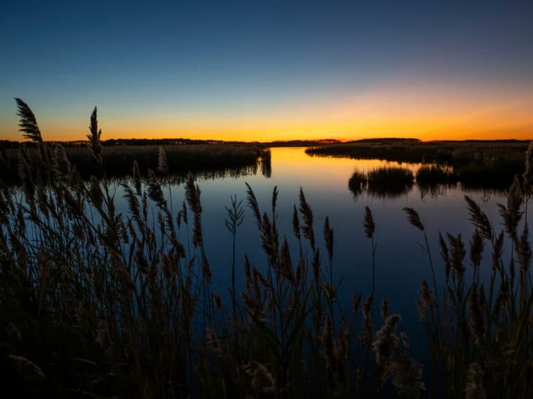 Welcome 32 Gorgeous scenery on the banks of the Chesapeake Bay - enjoying the natural beauty is one of the best things to do on the Eastern Shore of Maryland