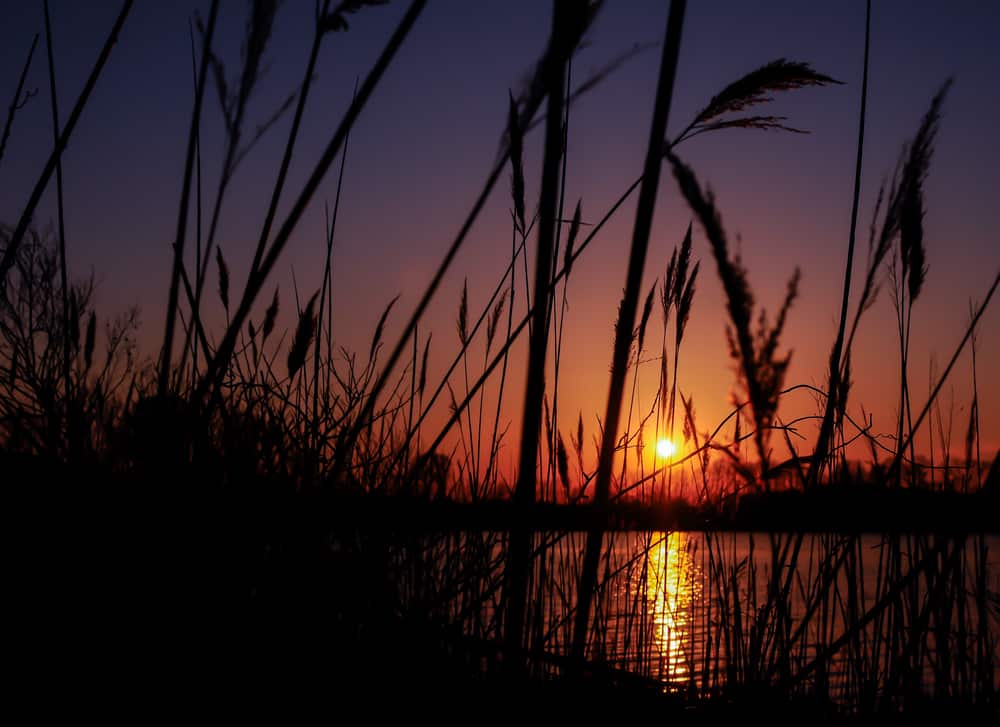 Things to do in Rock Hall MD This Fall 1 Relax and soak up the scenery while you enjoy these fun things to do in Rock Hall MD This Fall