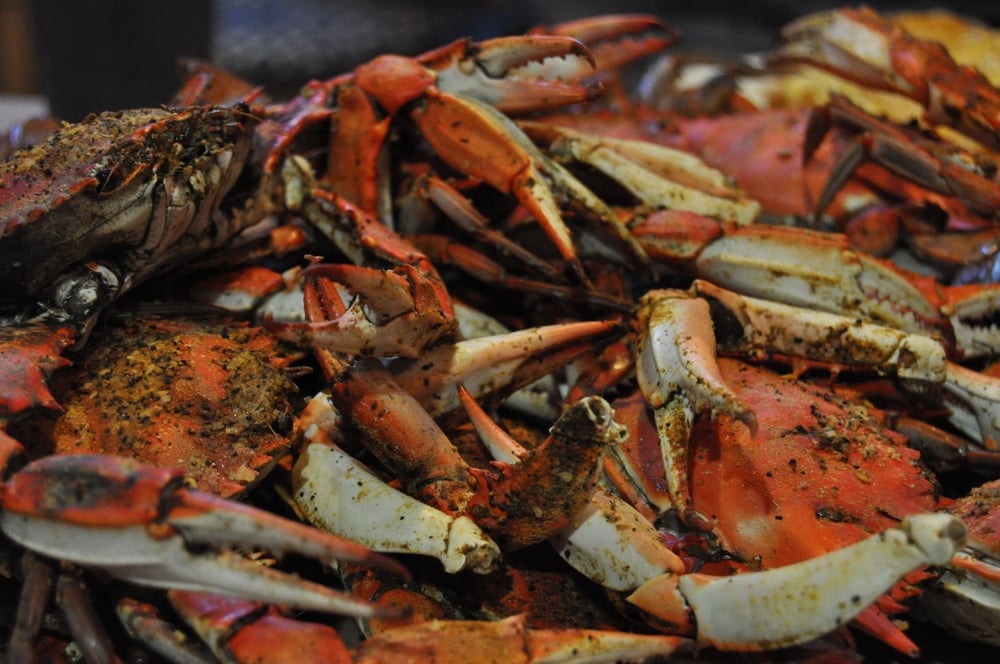 Discover One of the Best Places to Stay in Maryland for 2022 2 The Eastern Shore is one of the best places to stay in Maryland, where you can enjoy endless piles of crab like this and other fresh seafood
