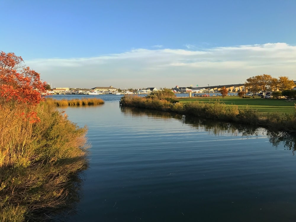 Relax and soak up the scenery while you enjoy these fun things to do in Rock Hall MD This Fall