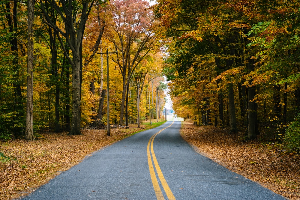 Enjoying fall foliage is one of the many things to do in the Eastern Shore of Maryland during your Chesapeake Bay Getaway this fall