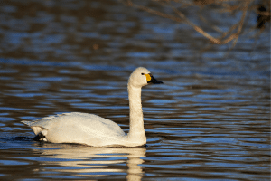 Why You Need To Experience the Magic of Fall in Rock Hall, MD 1 Why You Need To Experience the Magic of Fall in Rock Hall, MD 1
