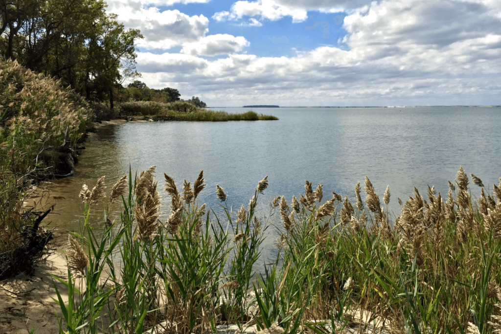 chesapeake bay scenery